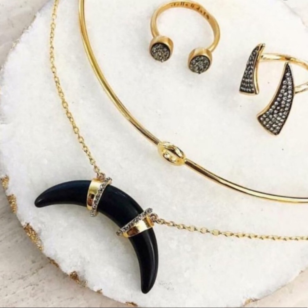 :: Stella & Dot Gorgeously Delicate Mia Gold+Leather Choker - Picture 5 of 9